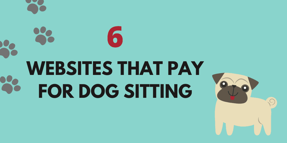 Get Paid for Dog Sitting: 6 Websites that Pay