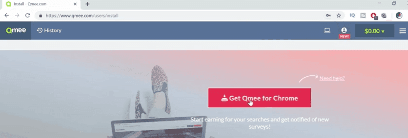 enable browser extention