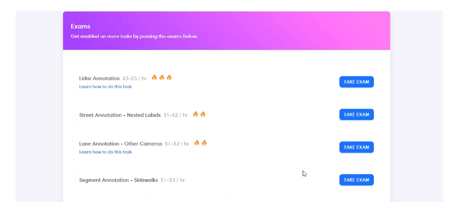 remotasks exams