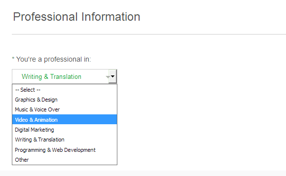 Fiverr Pro Professional Information
